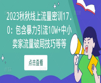 2023秋秋线上流量密训17.0：包含暴力引流10W+中小卖家流量破局技巧等等-淘淘网