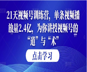 第14期21天视频号训练营，单条视频播放量2.4亿，为你讲授视频号的“道”与“术”！-淘淘网