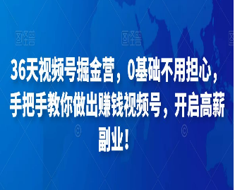 36天视频号掘金营，0基础不用担心，手把手教你做出赚钱视频号，开启高薪副业-淘淘网