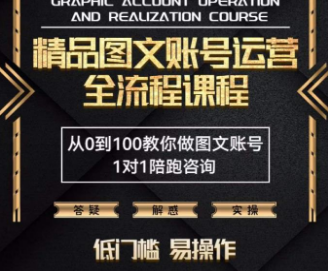 精品抖音图文账号运营全流程课程，从0到100教你做图文账号（低门槛，易操作）-淘淘网