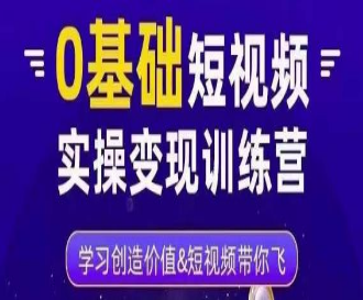 薛辉·0基础短视频实操变现训练营，3大体系成就百万大V-淘淘网