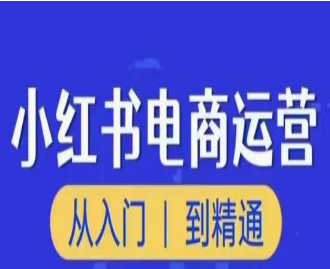 顽石小红书电商高阶运营课程，从入门到精通，玩法流程持续更新-淘淘网