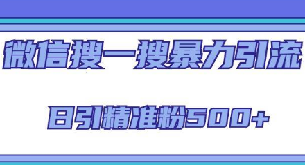 微信搜一搜引流全系列课程，日引精准粉500+（8节课）-淘淘网