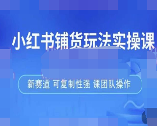 小红书铺货玩法实操课，流量大，竞争小，非常好做，新赛道，可复制性强，可团队操作-淘淘网