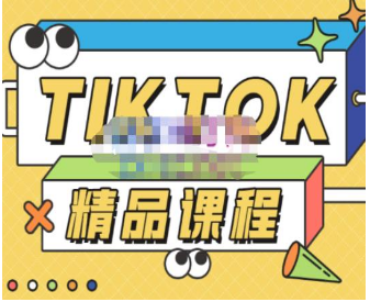 电商孵化中心·TikTok精品课程，教你玩转海外抖音，低成本创业，带您从0开始玩转TikTok-淘淘网