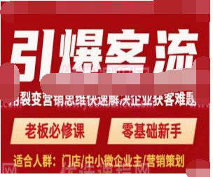 引爆客流，用裂变营销思维快速解决企业获客难题，老板必修课，零基础新手-淘淘网