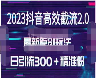 日引300＋创业粉，独家抖音高效截流2.0玩法（价值1280）-淘淘网