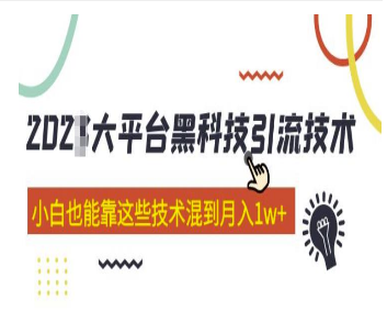 大平台黑科技引流技术小白也能靠这些技术混到月入1w+(2022年的课程）-淘淘网