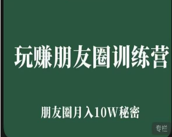 玩赚朋友圈系统课，朋友圈月入10W的秘密，​7天系统图文课程-淘淘网