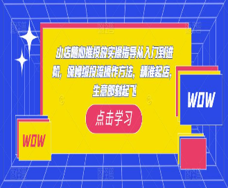 小店随心推投放实操指导从入门到进阶，保姆级投流操作方法，精准起店，生意即刻起飞-淘淘网