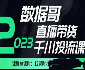 数据哥2023直播电商巨量千川付费投流实操课，快速掌握直播带货运营投放策略-淘淘网