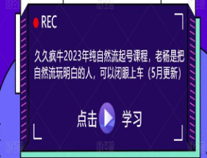 久久疯牛2023年纯自然流起号课程，老杨是把自然流玩明白的人，可以闭眼上车-淘淘网