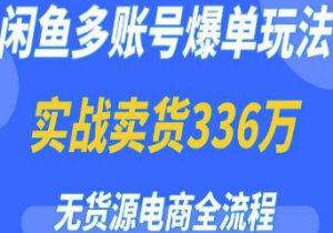 闲鱼多账号爆单玩法，无货源电商全流程，超简单的0门槛变现项目【揭秘】-淘淘网