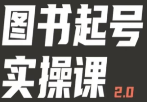 乐爸实战分享2.0（图书起号实操课），手把手教你如何从0-1玩转图书起号-淘淘网