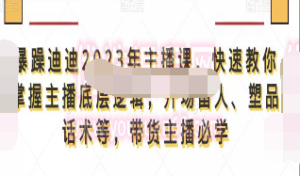 暴躁迪迪2023年主播课，快速教你掌握主播底层逻辑，开场留人、塑品话术等，带货主播必学-淘淘网