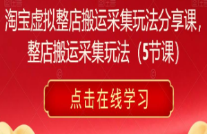 淘宝虚拟整店搬运采集玩法分享课，整店搬运采集玩法（5节课）-淘淘网