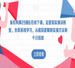 某机构第29期6月线下课，运营型实操训练营，全面系统学习，从底层逻辑到实操方法到千川投放-淘淘网