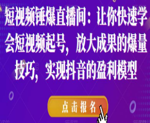 短视频锤爆直播间：让你快速学会短视频起号，放大成果的爆量技巧，实现抖音的盈利模型-淘淘网