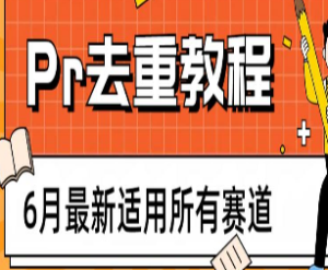 2023年6月最新Pr深度去重适用所有赛道，一套适合所有赛道的Pr去重方法-淘淘网