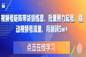 视频号矩阵带货训练营，批量暴力起号，撬动视频号流量，月利润5w+-淘淘网