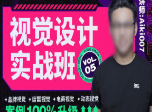 艾琦视觉设计实战班第5期2022年aiki007-淘淘网