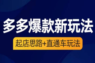 海神·多多爆款新玩法，​起店思路+直通车玩法（3节精华课）-淘淘网