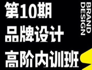 卢帅2022第十期品牌设计高阶内训班【画质不错有素材】-淘淘网