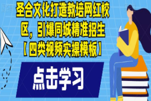 圣合文化打造教培网红校区，引爆同城精准招生【四类视频实操模板】-淘淘网