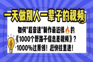 一天做完别一辈子的视频制作最近很火的《1000个野路子信息差》100%过原创【揭秘】-淘淘网