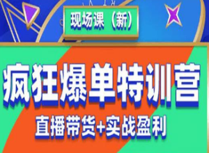 抖音短视频疯狂爆单特训营现场课（新）直播带货+实战案例-淘淘网