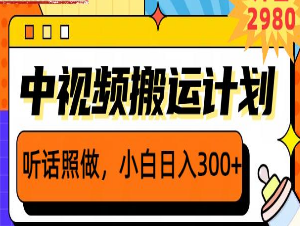 外面卖2980元2023黑科技操作中视频撸收益，听话照做小白日入300+-淘淘网