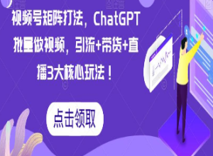 视频号矩阵打法，ChatGPT批量做视频，引流+带货+直播3大核心玩法！-淘淘网