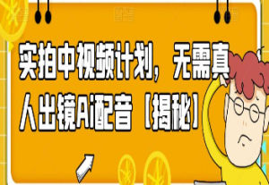 实拍中视频计划，无需真人出镜Ai配音【揭秘】-淘淘网