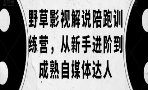 野草影视解说陪跑训练营，从新手进阶到成熟自媒体达人-淘淘网