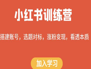 小红书训练营，搭建账号，选题对标，涨粉变现，看透本质-淘淘网