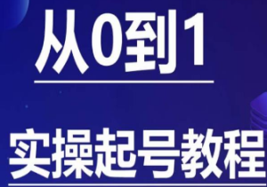 石野·小白起号实操教程，​掌握各种起号的玩法技术，了解流量的核心-淘淘网