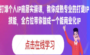 蟹老板·打爆个人IP底层实操课，教你成熟专业的打造IP技能，全方位带你做成一个能商业化IP-淘淘网