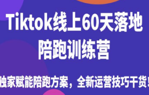 Tiktok线上60天落地陪跑训练营，独家赋能陪跑方案，全新运营技巧干货-淘淘网