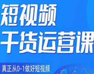 小龙社长·短视频干货运营课，真正从0-1做好短视频-淘淘网