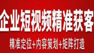 流量为王，企业短视频精准获客，手把手分享实战经验，助力企业低成本获客-淘淘网