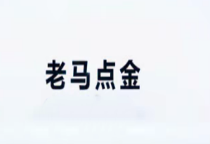 老马点金 商品期货实战绝技100招 共7视频-淘淘网