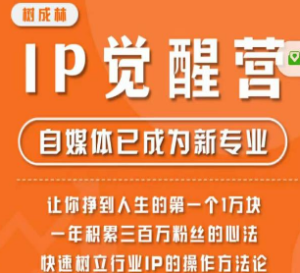 树成林·IP觉醒营，快速树立行业IP的操作方法论，让你赚到人生的第一个1万块-淘淘网