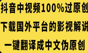 抖音中视频百分百过原创，下载国外平台的电影解说，一键翻译成中文获取收益-淘淘网