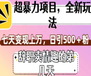 超暴利项目，全新玩法（辞职卖情趣的第几天），七天变现上万，日引500+粉【揭秘】-淘淘网