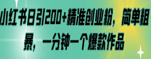 小红书日引200+精准创业粉，简单粗暴，一分钟一个爆款作品【揭秘】-淘淘网