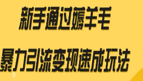 【全网首发】新手通过薅羊毛暴力引流变现速成玩法-淘淘网