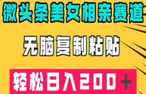 微头条冷门美女相亲赛道，无脑复制粘贴，轻松日入200＋【揭秘】-淘淘网