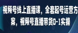 视频号线上直播课，全套起号运营方案，视频号直播带货0-1实操-淘淘网