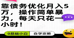 靠债务优化月入五万，每天只要花两个小时，多种方式轻松变现【揭秘】-淘淘网