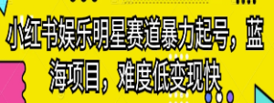 小红书娱乐明星赛道暴力起号，蓝海项目，难度低变现快【揭秘】-淘淘网